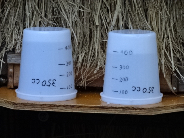 日本蜜蜂の部屋 :: cello audio and hobby